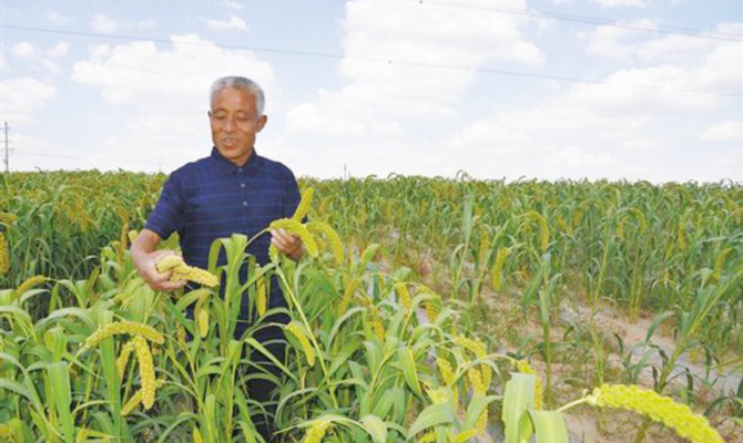 丰收，就是百姓幸福的样子