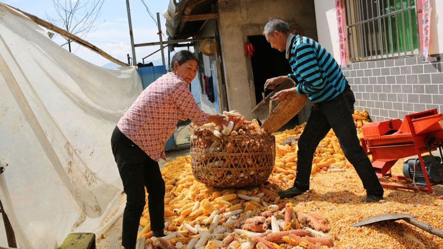 丈夫生病岚皋农妇成家里顶梁柱 儿子买房她给了20万