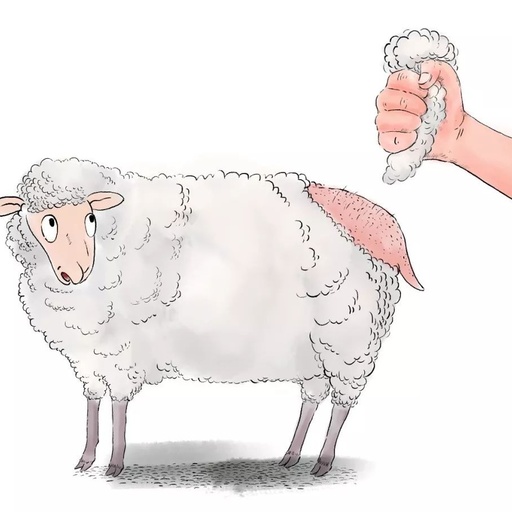 “薅羊毛”，當(dāng)心別觸犯法律
