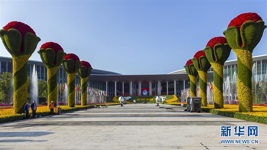 　11月3日拍摄的国家会展中心（上海）南广场的鲜花景观。新华社发（王翔摄）