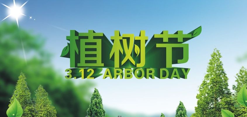 “植樹(shù)節(jié)”擬寫(xiě)入法律推動(dòng)植樹(shù)造林
