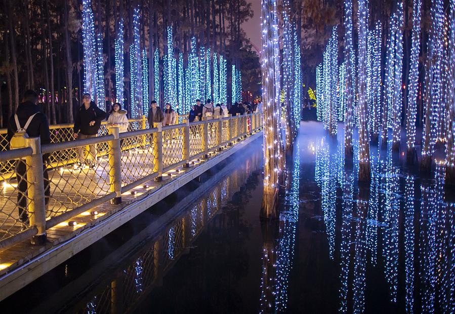 　12月24日，游客在武汉欢乐谷的灯海中游玩。 时值岁末，武汉欢乐谷举办奇幻灯光节，亮起各式彩灯，吸引不少游客前来游玩。 新华社记者熊琦摄