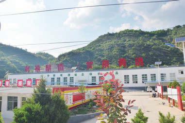 甘泉刺榆黃酒