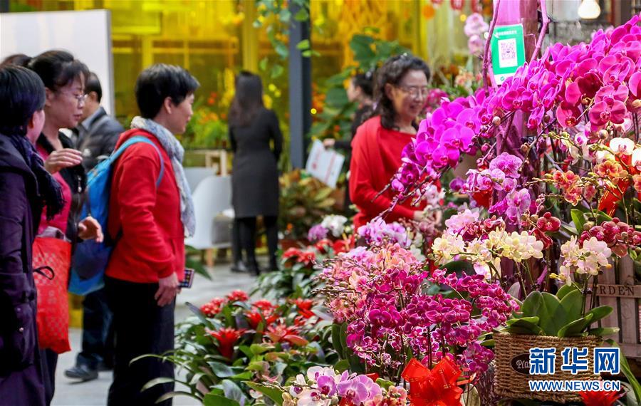 1月12日，市民在北京花乡花卉嘉年华艺术中心观赏和选购花卉。 当日，北京迎春年宵花展在北京花乡花卉嘉年华艺术中心开幕，吸引市民前来观赏选购。 新华社记者 李欣 摄