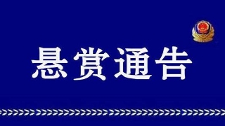 陜西警方公開緝捕47名涉黑涉惡案件在逃人員