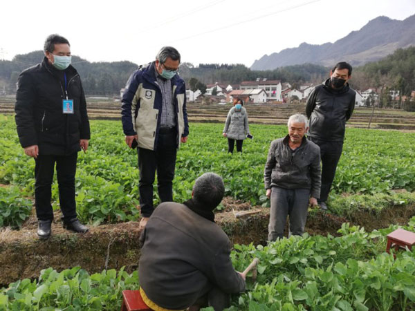 朱智勤委員：建言獻(xiàn)策促防“疫” 春播備耕不誤時(shí)