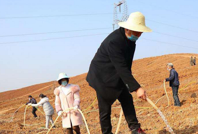 【决胜疫情、陕企担当】陕果集团：疫情防控不误农时春耕