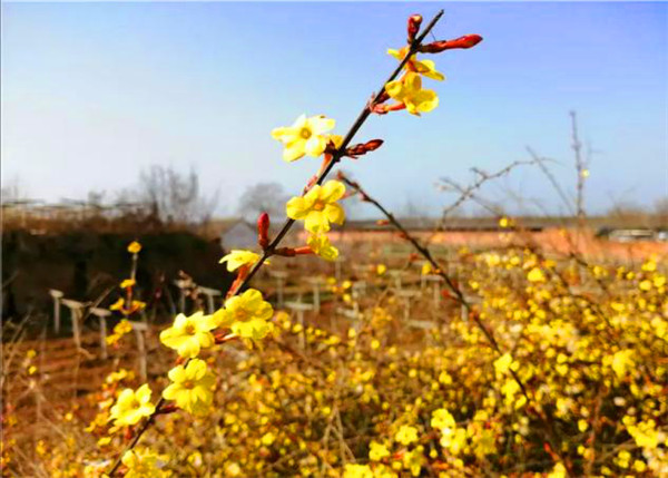 【復(fù)工復(fù)產(chǎn)·陜西在行動(dòng)】戰(zhàn)“疫”春耕兩不誤 楊凌“智繪”農(nóng)忙圖