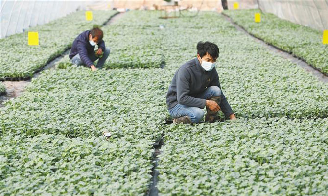 三秦大地春耕忙