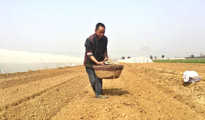 防疫春耕两不误