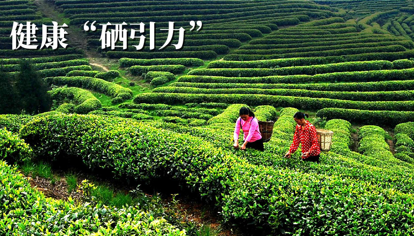 安康富硒產(chǎn)業(yè)謀劃千億目標(biāo)