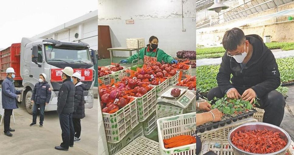 战疫情 保供给 忙春耕 三秦大地别样忙