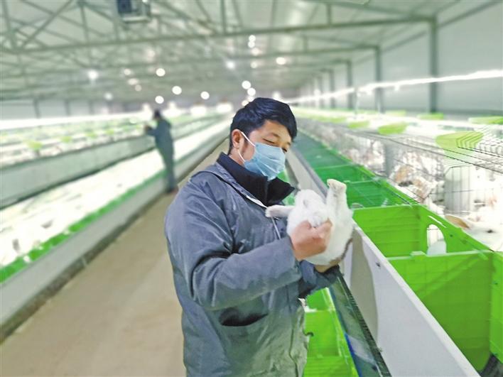 坚定脱贫不停步|铜川：疫情防控时 脱贫不停歇