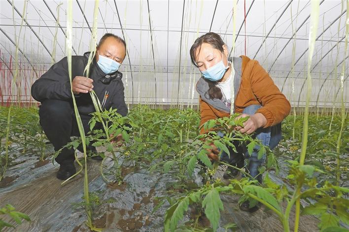 惊蛰万物长 春耕景醉人