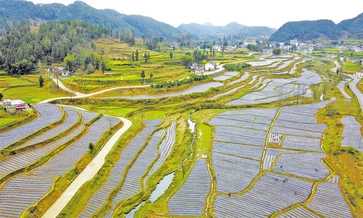 播撒希望　耕耘春天