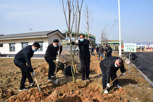 安康市政協(xié)：春暖花開季 植樹綠化忙