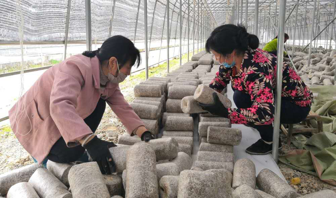 田间地头农事忙