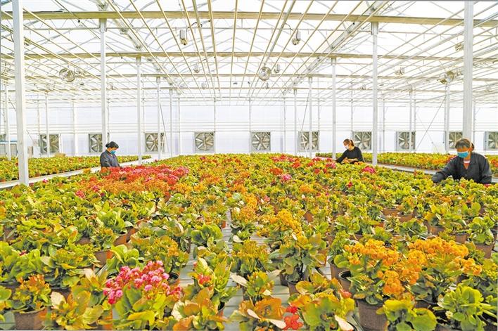 坚定脱贫不停步 杨凌：春耕进行时 复工复产忙