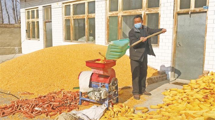 榆阳区：果蔬不滞销 脱贫不返贫