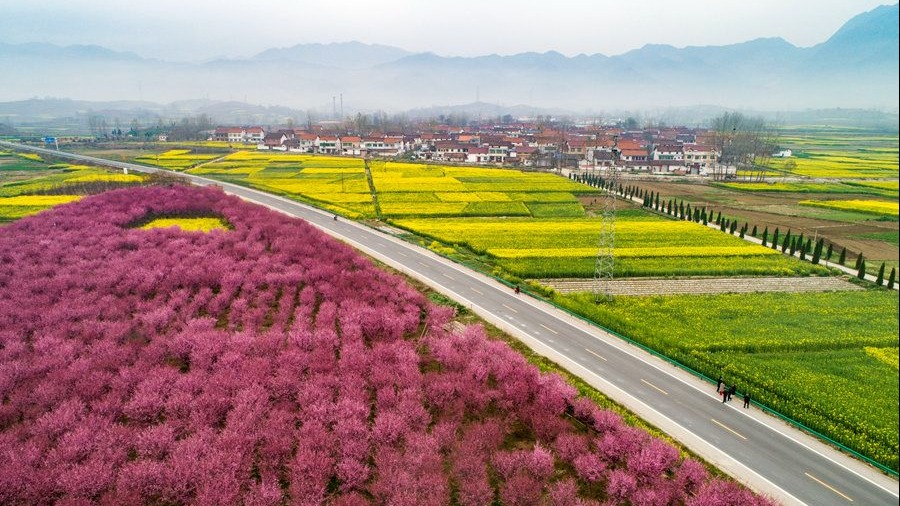 春天里的陕西丨航拍俯瞰航空城 阎良春日别样美