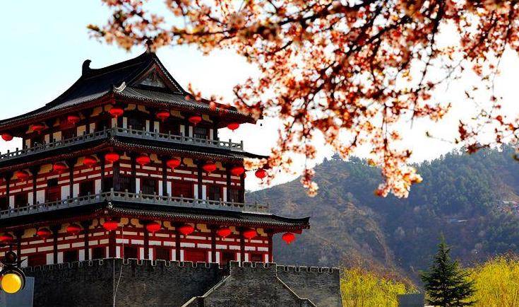 春天里的陕西丨商洛丹江公园红叶李花开惹人醉