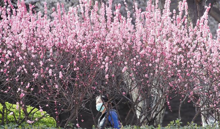 陕西各地生活秩序逐步恢复正常