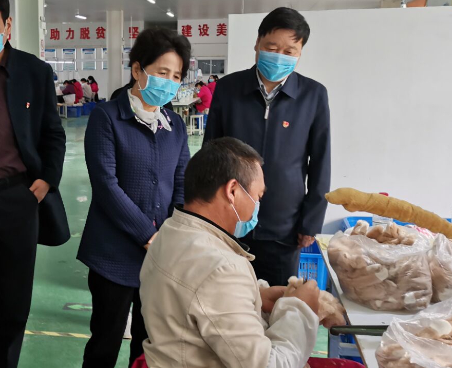 李冬玉赴寧陜開展脫貧攻堅民主監(jiān)督調(diào)研