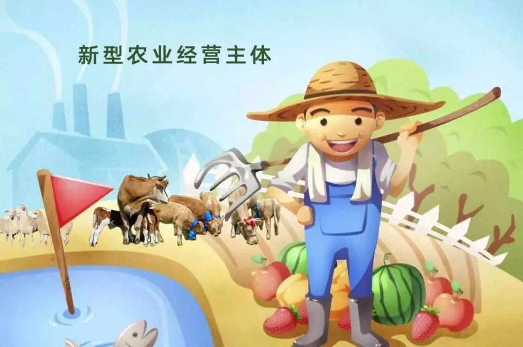 @新型農(nóng)業(yè)經(jīng)營主體,最新支持措施來了