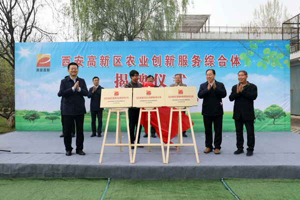 探索現(xiàn)代農(nóng)業(yè)社會(huì)化服務(wù)模式 西安高新區(qū)為三個(gè)農(nóng)業(yè)創(chuàng)新服務(wù)綜合體揭牌