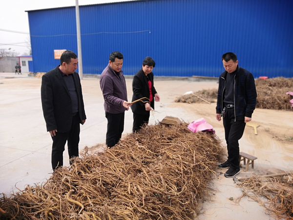 省臺盟赴潼關(guān)縣開展扶貧工作調(diào)研