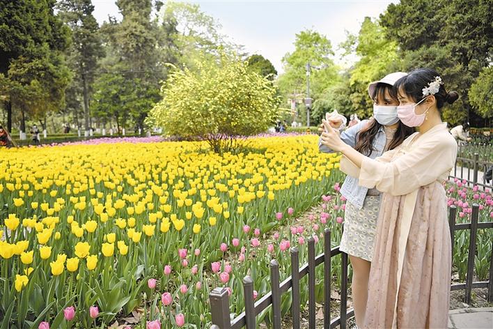 春光虽好，走出家门莫忘防疫