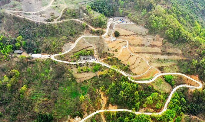 航拍：秦岭小山村采摘香椿忙 助贫困户增收