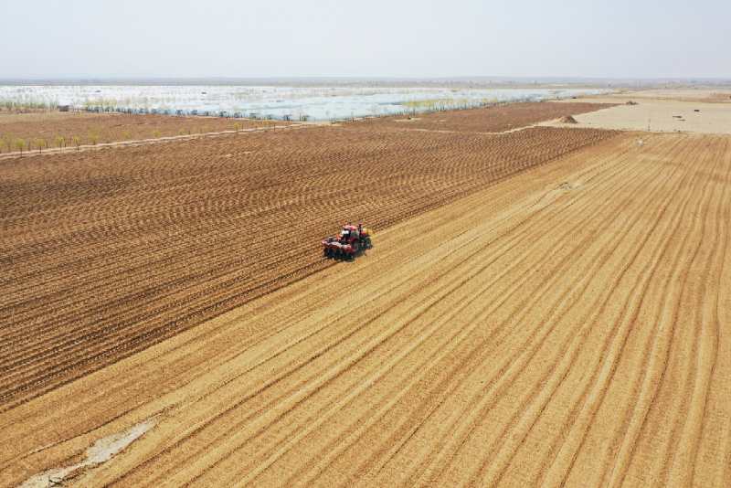 不负好春光 春耕春播忙