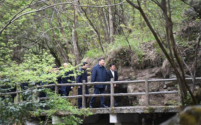 习近平在陕西考察秦岭生态保护情况