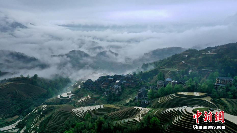 4月19日，在广西桂林市龙胜各族自治县龙脊梯田景区拍摄的梯田景观。 潘志祥 摄