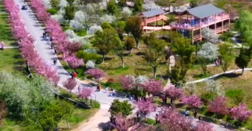  时政微视频丨你好 陕西