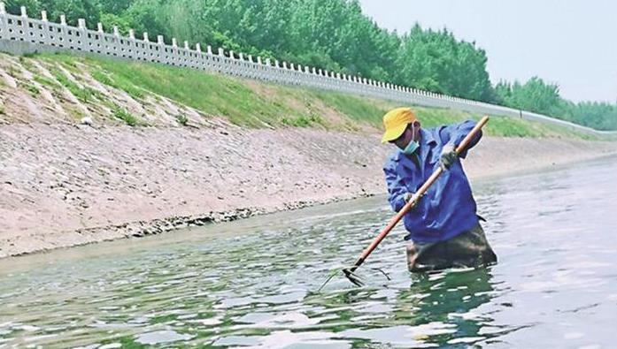 城市里的“河渠美容师”