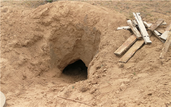 榆林男子废弃墓坑内活埋79岁瘫痪母亲 获救老太担心儿子被重判