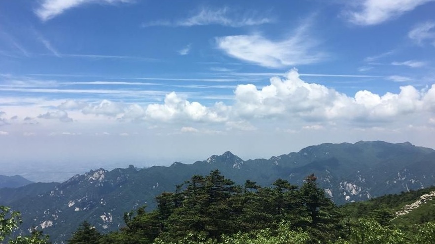 大美秦岭|“养在深闺”的天然氧吧——牛背梁