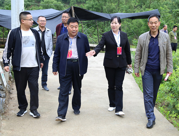 留壩政協(xié)：注重實干實效 彰顯責任擔當