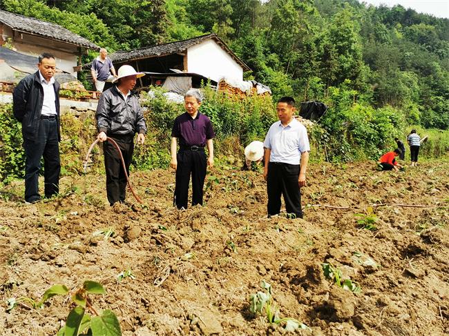 漢陰縣政協(xié)：脫貧總攻 精準督戰(zhàn)