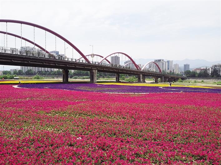 陕西的母亲河更美了
