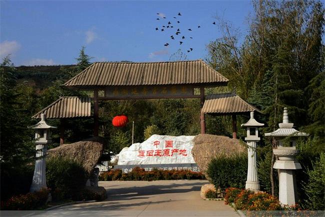 首家以藍(lán)田玉為主題的民辦博物館節(jié)假日免費(fèi)面向公眾開放???????