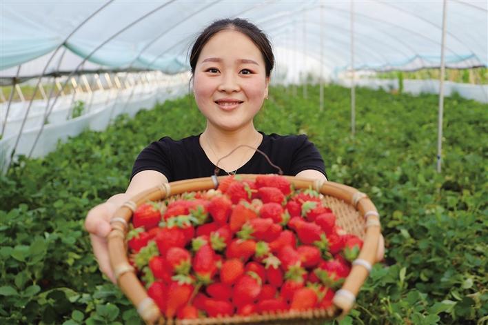 民生最亮点 给青创企业送来“及时雨”