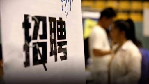 組織網(wǎng)絡(luò)招聘、促進崗位共享……穩(wěn)就業(yè) 有底氣!