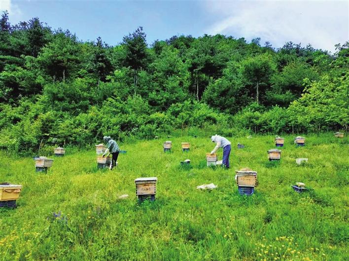 好生态“酿造”好生活