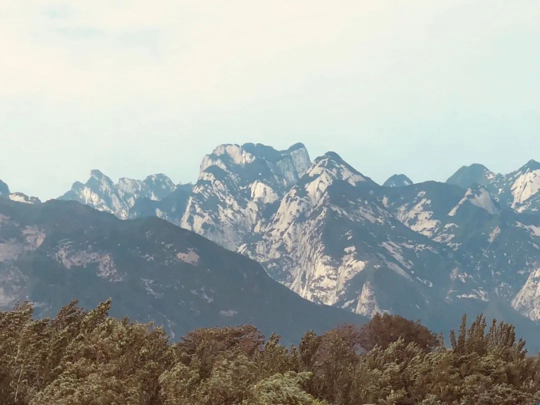 震撼了！这张动图，见证19年秦岭植被变化！