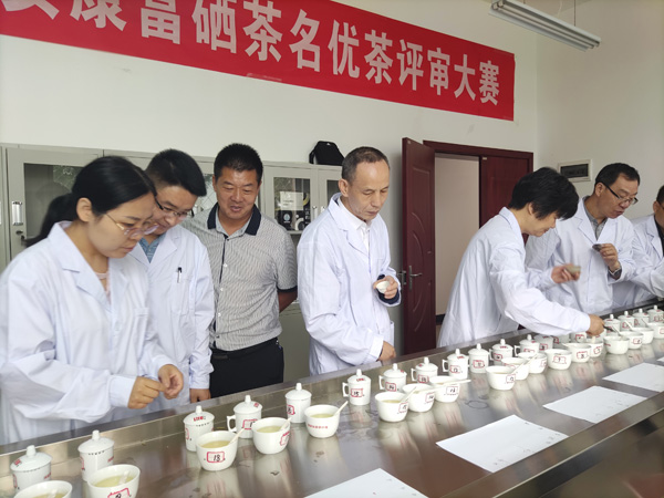 第四屆安康富硒茶名優(yōu)茶大賽拉開帷幕