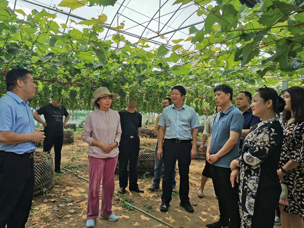 陜西省暖通空調(diào)與制冷行業(yè)協(xié)會黨支部赴禮泉縣駿馬鎮(zhèn)開展扶貧捐贈活動助力脫貧攻堅(jiān)