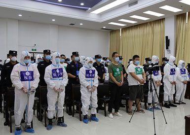 咸陽秦都法院公開開庭審理權(quán)某等25人涉黑案